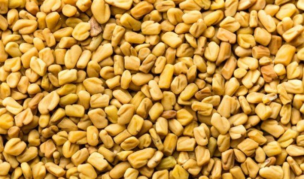 Supreme Fenugreek (Methi) Seeds 7 Oz. (200g)